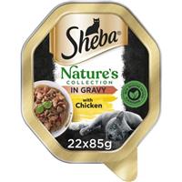 22 x 85g Sheba Natures Collection Adult Wet Cat Food Tray Chicken in Gravy