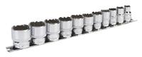 Sealey Premier 11 Piece Bi-Hex 3/8 Sq Dr Imperial AF Socket Set + Rail AK2672