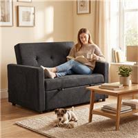 HOMCOM 2 Seater Sofa Bed Convertible Bed Settee with Pillows Refurbished