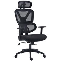 Vinsetto Mesh Office Chair Swivel Desk Chair with Adjustable Height, Black