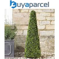 Smart Garden Boxwood Topiary Obelisk 60cm Decorative Artificial 5045030