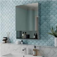 Double Door Stainless Steel Mirror Cabinet & Shelf 600x800mm Modern