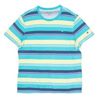 CHAMPION Striped Mens T-Shirt Blue Crew Neck L - L Regular