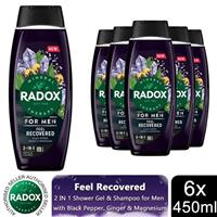 6x Radox Mineral Therapy Feel Recovered 2in1 Shower Gel & Shampoo for Men, 450ml