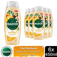 Radox Mineral Therapy Feel Restored Shower Cream with Cocoa Butter 450ml, 6 Pack
