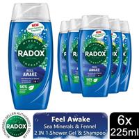 6x Radox Body Wash & Shampoo 2in1 Feel Awake with Fennel & Sea Minerals, 225ml
