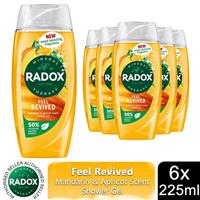 6xRadox Mineral Therapy Shower Gel Feel Revived w/ Mandarin&apricot Scent, 225ml