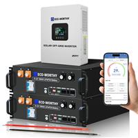 2 Packs 48V 100Ah Rack LiFePO4 Battery Lithium with 5000W Hybrid Inverter MPPT