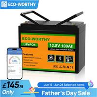 12V 100Ah Lithium Leisure Battery LiFePO4 Bluetooth Low Temperature Caravans Van