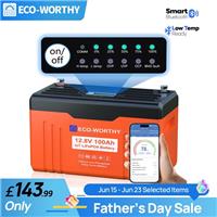 【LED Indicator Light】12V 100AH Lithium Leisure Battery LiFePO4 Bluetooth Caravan