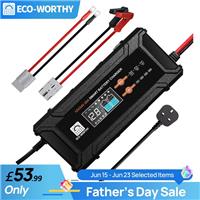 20A 12V/24V Lithium LiFePO4 Battery Charger Smart for Lithium AGM STD