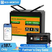12V 100AH LiFePO4 Lithium Leisure Battery+20A Smart Battery Charger Caravan Vans