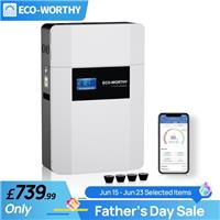 【Wall-Mounted】48V 100Ah Lithium Battery LiFePO4 Bluetooth with Free Conduit Box