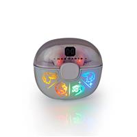 Harry Potter Headphones Hogwarts Light-Up True Wireless Bluetooth Earphones