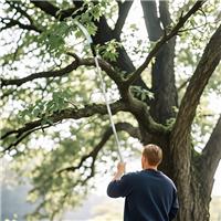 1.8-2.9 m Tree Lopper Long Reach Telescopic with Extendable Handle