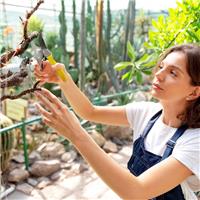 8 Secateurs Heavy Duty, Pruning Shears with Safety Lock