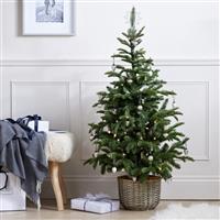 The White Company 4.5ft Pre-Lit Entrance Christmas Tree Xmas Festive Decoration.