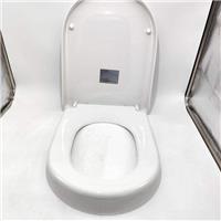 STOREMIC Toilet Seat Soft Close White D Shape Quick Release