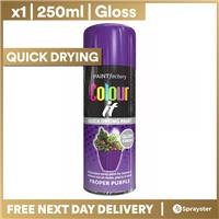 1 x 250ml Colour It Proper Purple Gloss Spray Car Van Bike Aerosol Paint