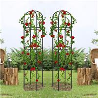 2x Garden Obelisk Outdoor 1.9M Arch Climbing Plant Support Frame Trellis Rose