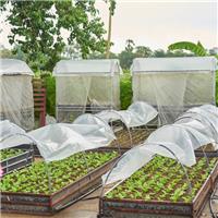 3m Garden Grow Tunnel - Vegetable Plant Protection Fleece Cloche - All Season UK