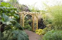 Wooden Garden Pergola Arch - Forest Large Ultima Timber Archway with Trellis