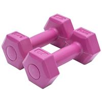 Pink 0.5kg Dumbbells Set Exercise Equipment Home Gym Weight Fitness Accessories