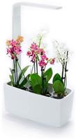 Home Indoor Kitchen Garden Smart LED Grow Light Kit for Both Outdoor and Indoor