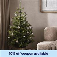 The White Company 4.5ft Pre-Lit Christmas Tree