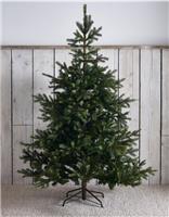 The White Company 6ft Grand Spruce Christmas Tree Indoor Xmas Festive Decor