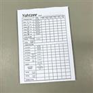 Yahtzee score sheets 384 Games Score Cards Pads Pages Refills Scorecards Notes