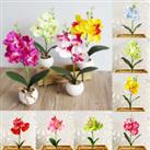Artificial Butterfly Orchid Flower Plants in Pot Fake Home Wedding Party Decor