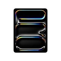 Apple iPad Pro 13 Inches 256GB 2025 iPad Pro Space Black
