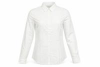Womens Burberry Size 6 Basic Button-Up Ivory Solid Collared Long Sleeve Business - 6 Regular