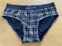 MEN'S BURBERRY BRIEFS Y FRONTS VERY RARE HTF NEVER WORN BNWOT XL CHECKED - XL Regular