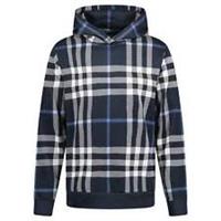 Burberry 'Ferryton' Check Hoodie in Blue and White