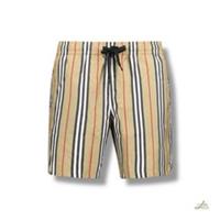 Burberry Martin Stripe Swim Shorts Multicolour Size L Made in Italy - L Regular
