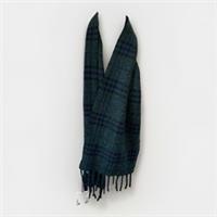 Burberry Green Blue Cashmere Mohair Blend 168x30cm Check Fringed Scarf NEW