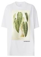 Burberry Botanical Sketch T-shirt White 8057022 XS