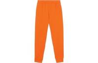 Burberry Larkan Sweat Pants Orange 8062177 Size L