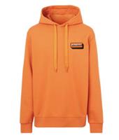 Burberry Logo Applique Cotton Hoodie 8057259 Size XS