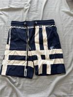 Burberry Shorts Mens - L Regular