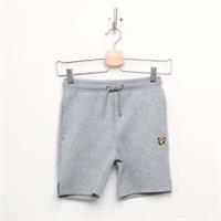 Boy's Lyle And Scott Sport Tech Fleece Regular Fit Shorts in Grey - 10-11 Regular