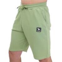 Men's Shorts One True Saxon Dixon Regular Fit in Green - M Regular