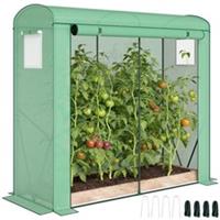 Outsunny Mini Greenhouse, Portable Indoor Outdoor Green House with PE Cover