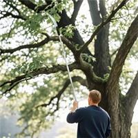 Outsunny 1.8-2.9 m Telescopic Tree Pruner, Tree Lopper Long Reach Refurbished