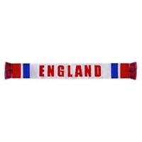 Team Unisex Scarf 31 Scarve - One Size Regular