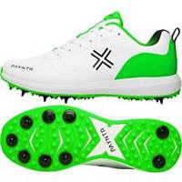 Payntr Mens XPF 22 Spikes Cricket