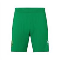 Castore Mens Ireland Home Short Senior 2023 International Licensed Football - L Regular