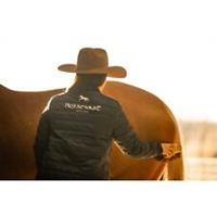 Horseware Mens Signature Padded Jacket Outerwear Equestrian - L Regular